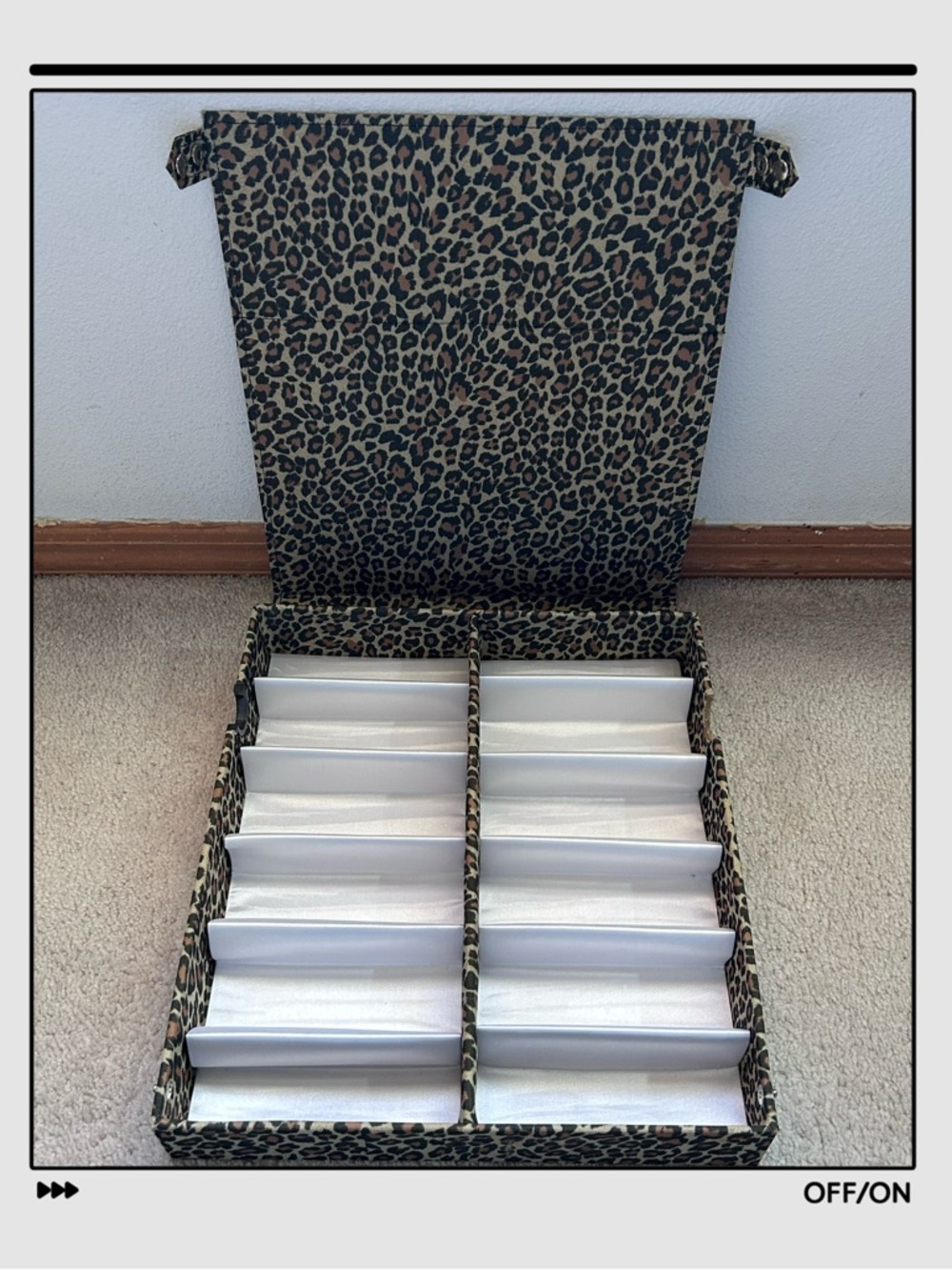 Babett 12-Compartment Eyeglass Storage Display Case Box Leopard Print OS